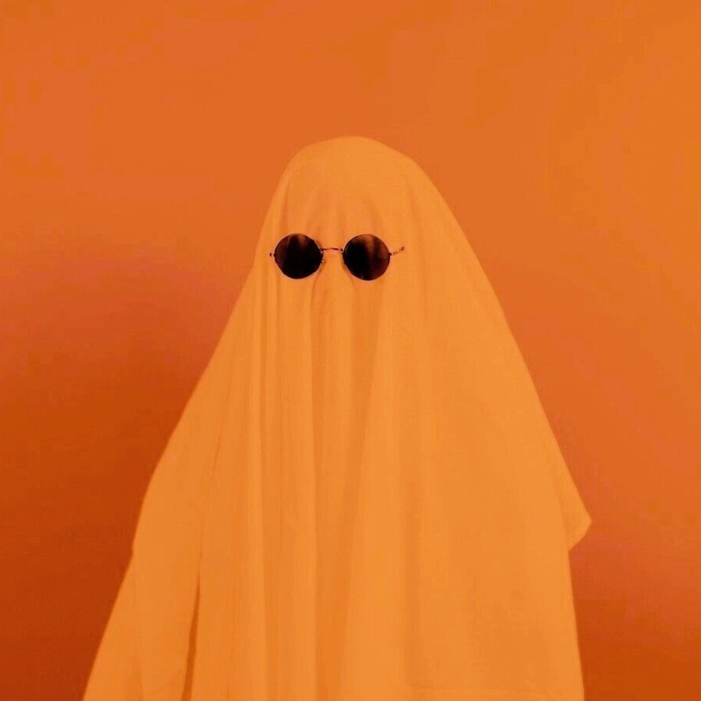 Meet your Posher, Edwin